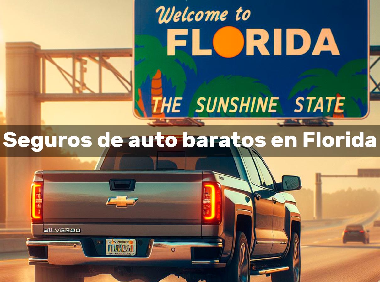 Seguros de auto baratos en Florida