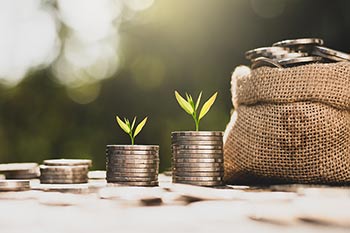 Money Market accounts