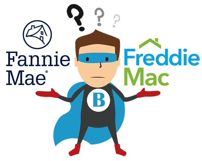 What are Fannie Mae and Freddie Mac and their functions?